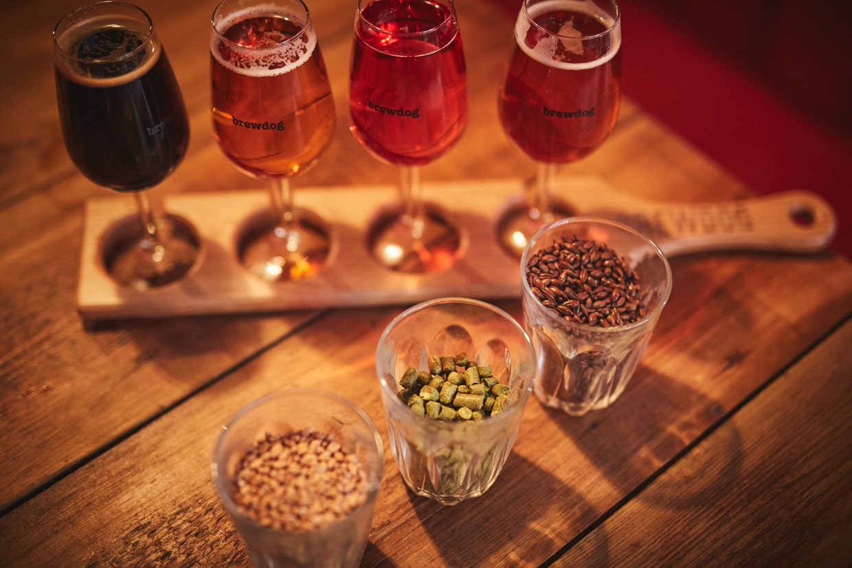 BrewDog Launches Bar Stool Beer School - American Craft Beer