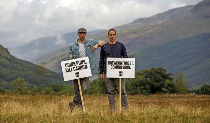, BrewDog Lost Forest Project An Epic Failure